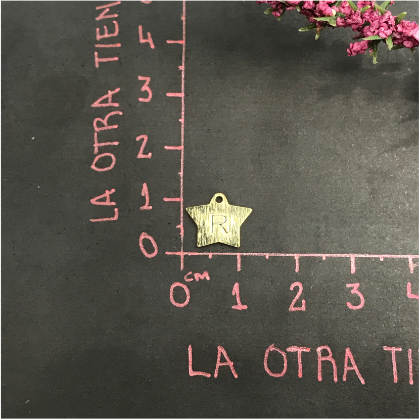 FO523 Letra Estrella Lijada 10 x 11 mm Figura Baño Oro Figuras Bañadas en Oro y Plata hecho de Bronce Bañado en Oro 18K