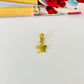 FO1280 Colgante Estrella Lisa y Circones 8 x 8 mas valier de 6 mm Espesor 2 mm Figura Baño Oro