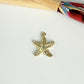 FO1274 Colgante Estrella de Mar 14 x 14 mm más argollita Espesor 1.5 mm Figura Baño Oro