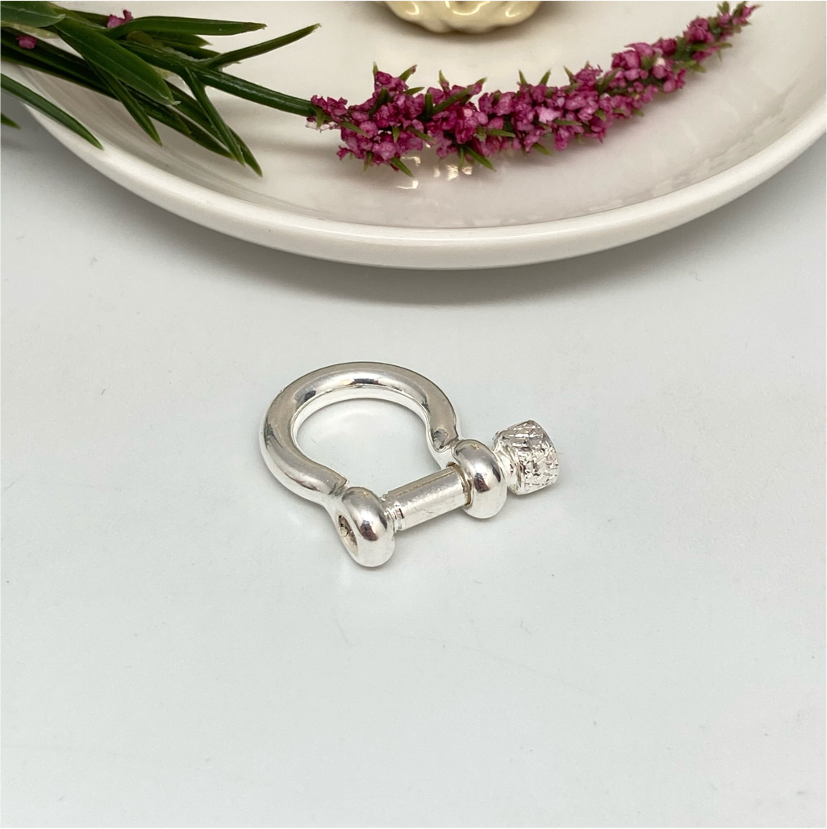 AP95-Broche-Grillete-Cierre-Rosco-Accesorio-Baño-Plata
