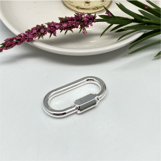 AP98-Broche-Rectangular-Cierre-Retráctil-35-x-18-mm-Accesorio-Baño-Plata